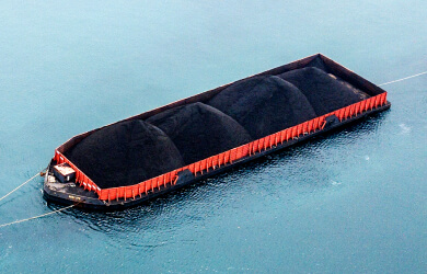Petroleum coke
