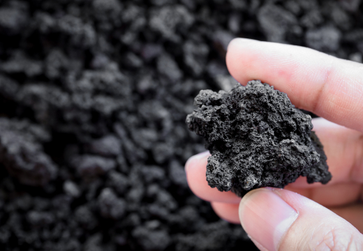 Petroleum Coke Market Newsletter