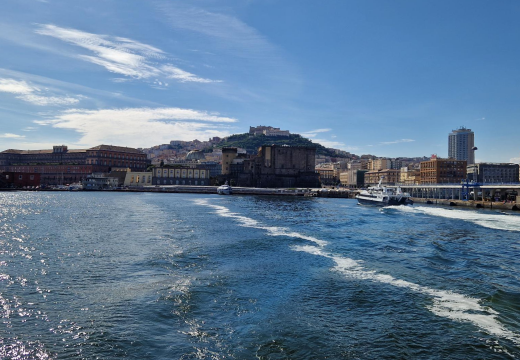 Argus Mediterranean Solid Fuels Forum